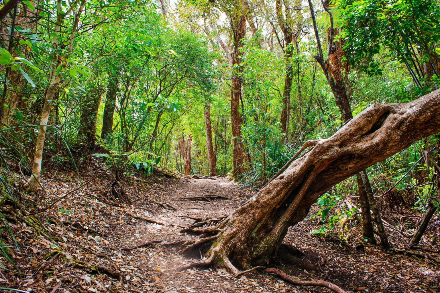 20 Amazing New Zealand Destinations Not To Miss - This Wild Life Of Mine